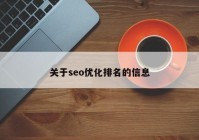 关于seo优化排名的信息